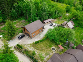 Cabana Vasc Borşa